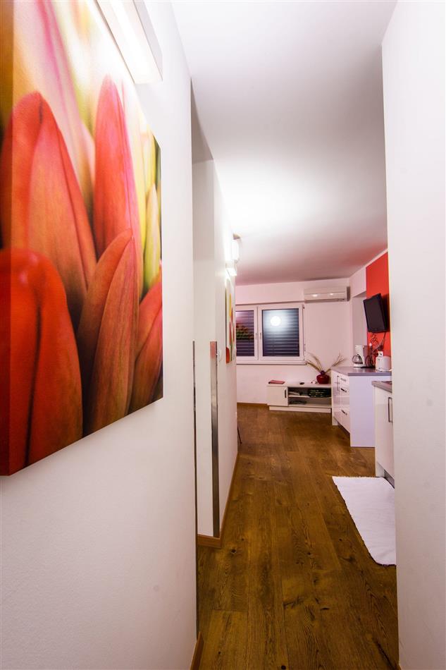 Apartment Tulip