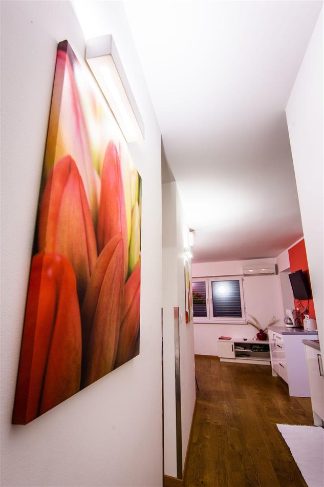Apartma Tulipan