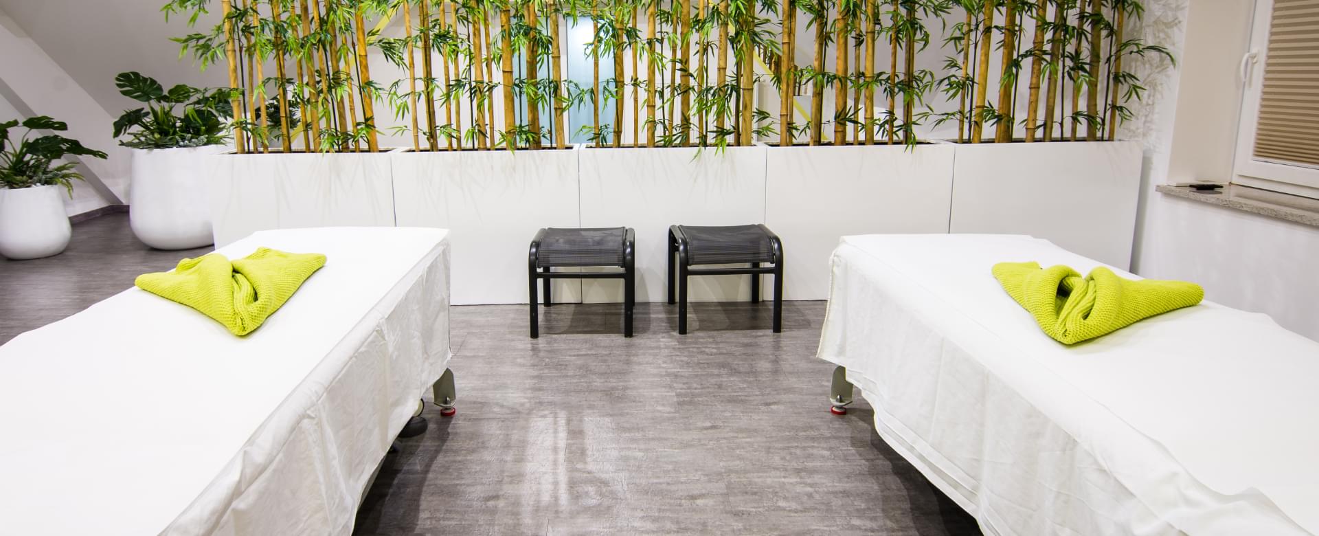 Apartments & Wellness Skok